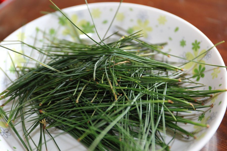 現打五葉松特調