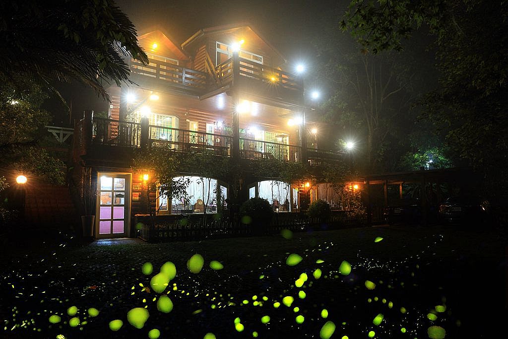 新竹繪葉41町 賞螢　賞桐　森呼吸　感受四季山林魅力